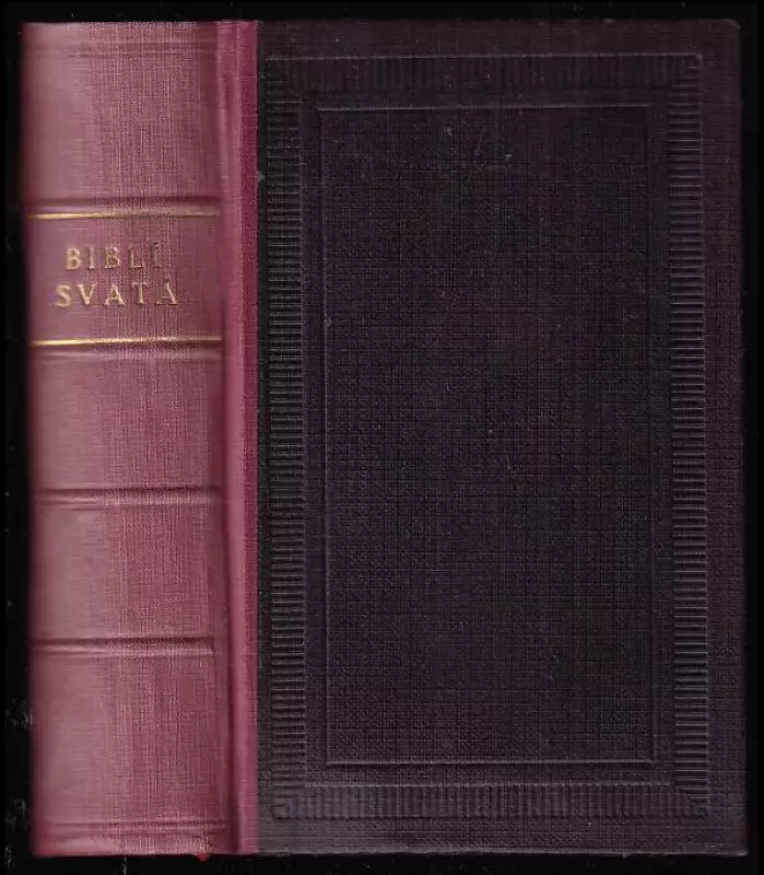 Biblí svatá aneb všecka svatá písma Starého i Nového zákona - podle posledního vydání kralického z roku 1613