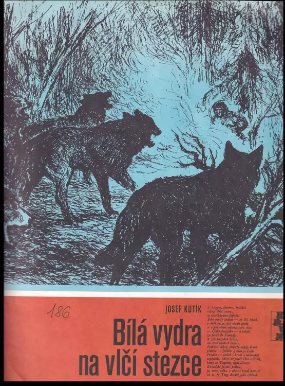 Bílá vydra na vlčí stezce