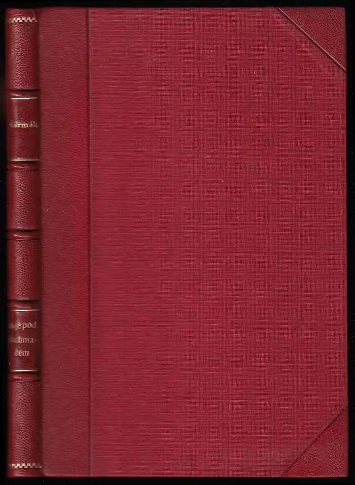 Boje pod Bachmačem a ústup z Ukrajiny r 1918 - dle hlášení, uložených v archivu legií. : Podle hlášení, uložených v archivu legií