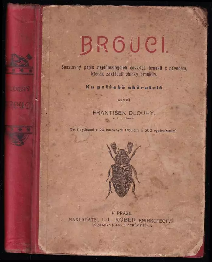 Brouci - soustavný popis nejdůležitějších českých brouků s návodem, kterak zakládati sbírky broukův