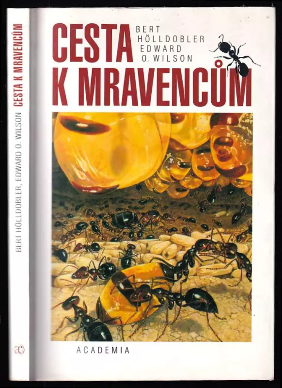 Cesta k mravencům