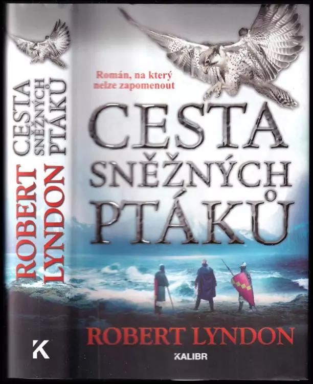 Cesta sněžných ptáků