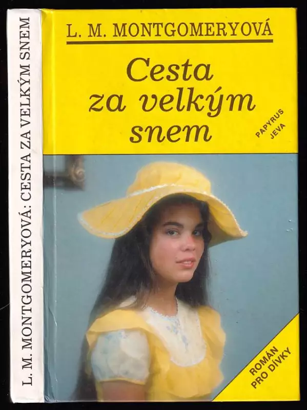 Cesta za velkým snem