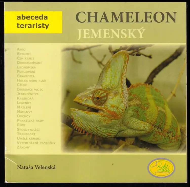 Chameleon jemenský