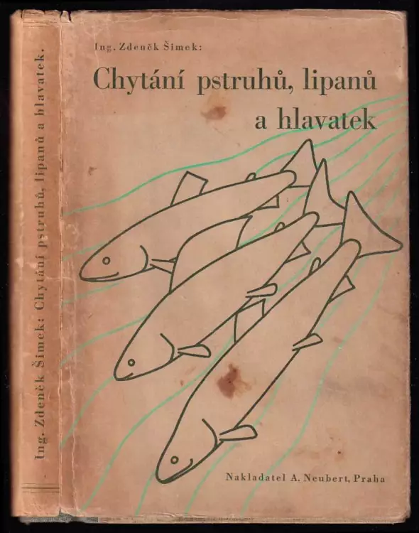 Chytání pstruhů, lipanů a hlavatek