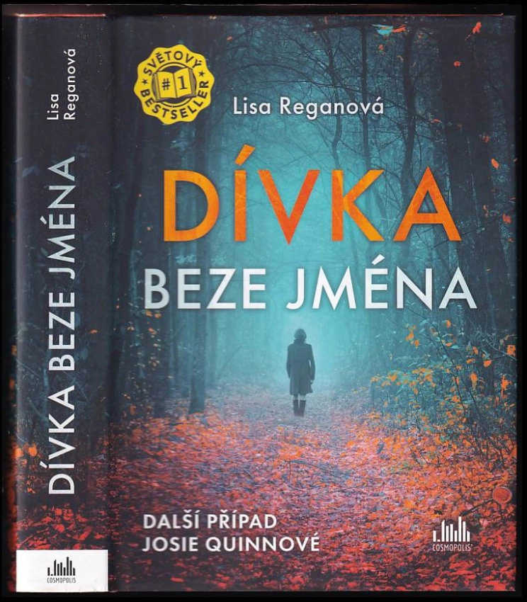 Dívka beze jména : další případ Josie Quinnové