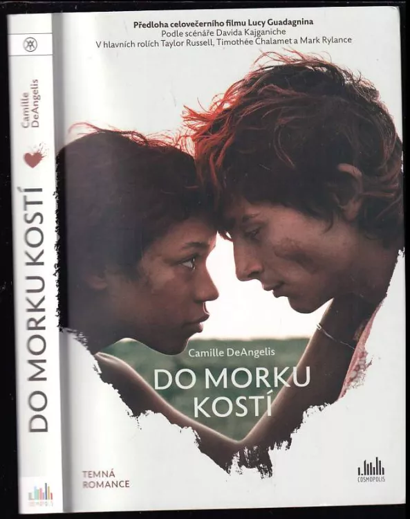 📗 Do morku kostí Camille DeAngelis (2023, Cosmopolis)