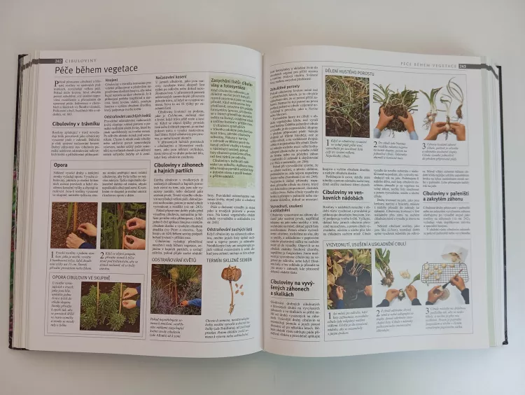 Encyklopedie Zahradniceni (slunečního světla, organickou hmotu, plné slunce) Encyklopedie Zahradniceni
