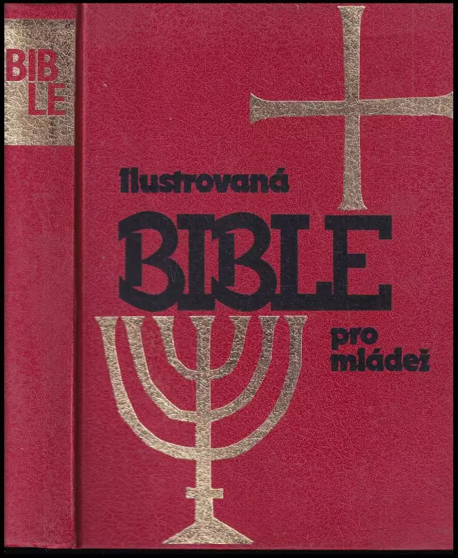 Ilustrovaná Bible
