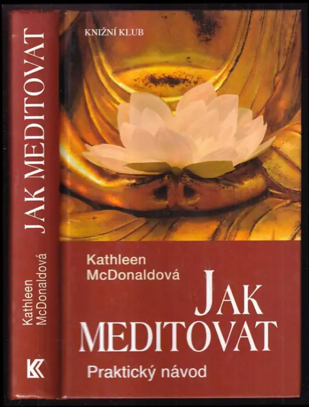 Jak meditovat : praktický návod