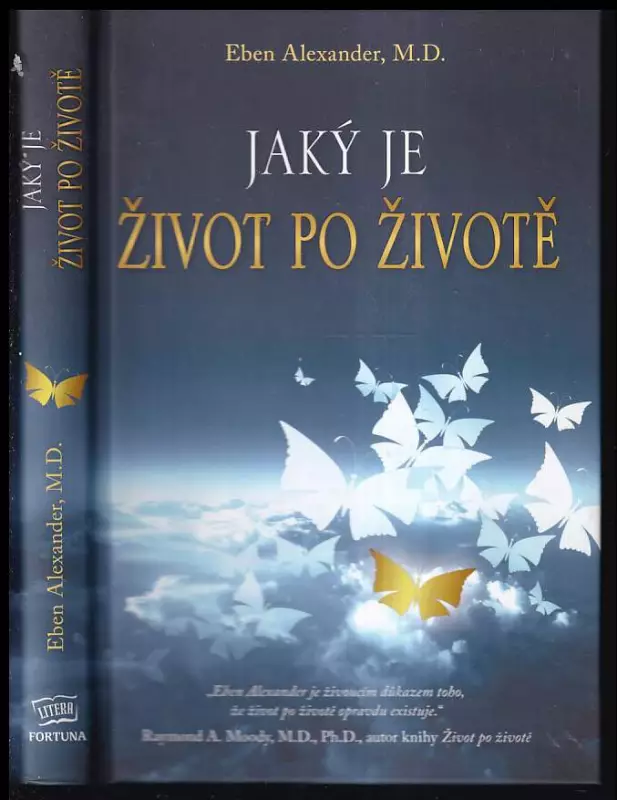 Jaký je život po životě
