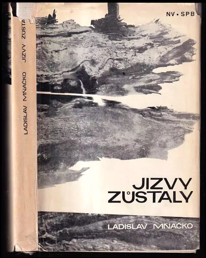 Jizvy zůstaly