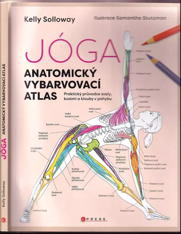 Jóga - anatomický vybarvovací atlas : praktický průvodce svaly, kostmi a klouby v pohybu