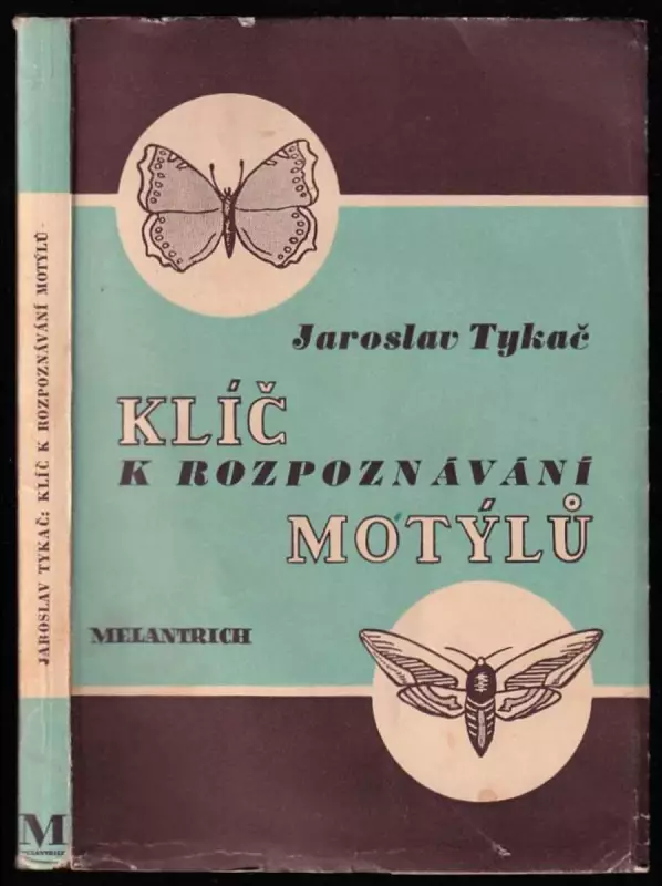 Klíč k určování - rozpoznávání - motýlů