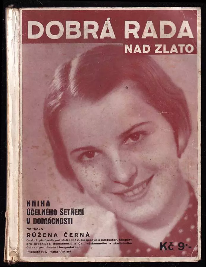 Kniha účelného šetření v domácnosti - dobrá rada nad zlato