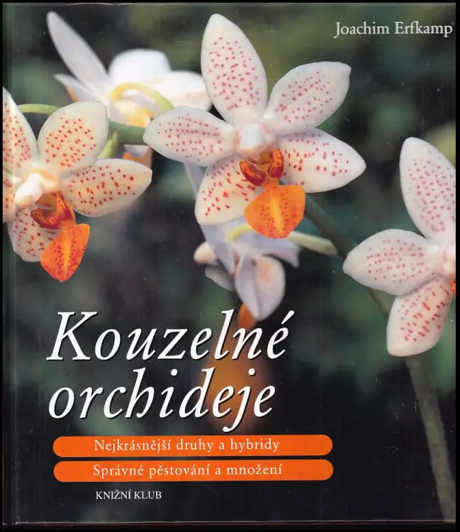Kouzelné orchideje