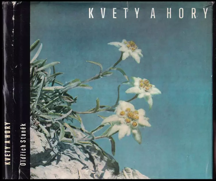 Kvety a hory