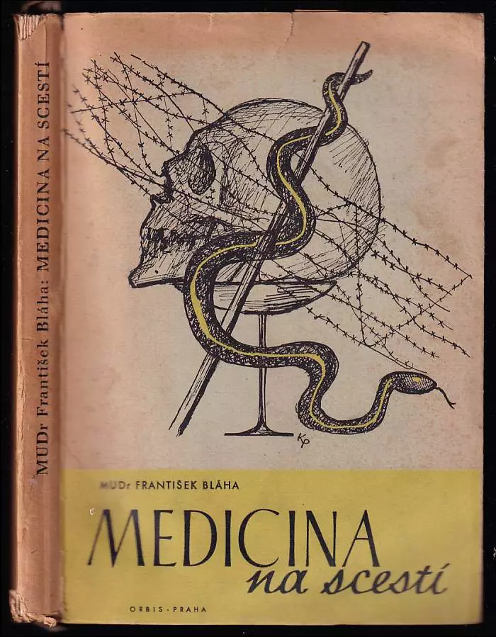 Medicina na scestí