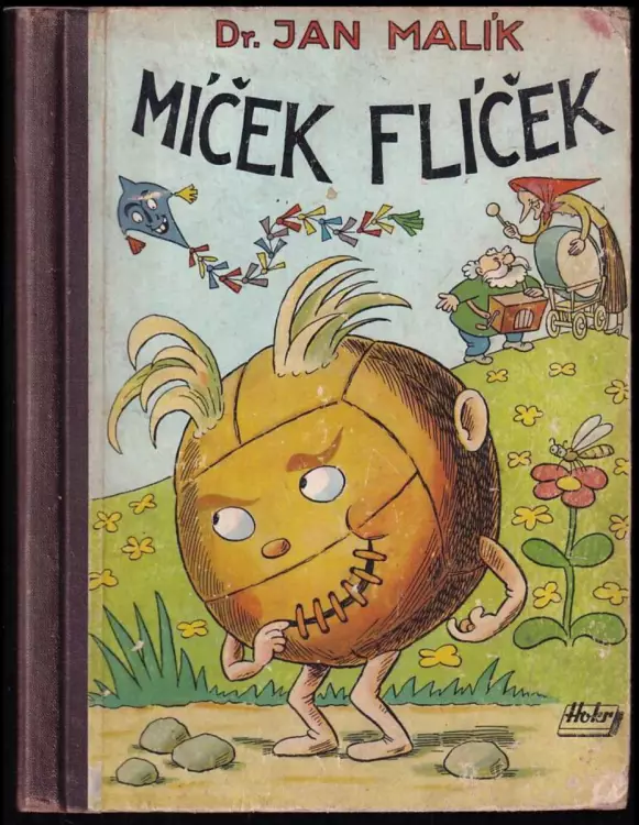 Míček Flíček