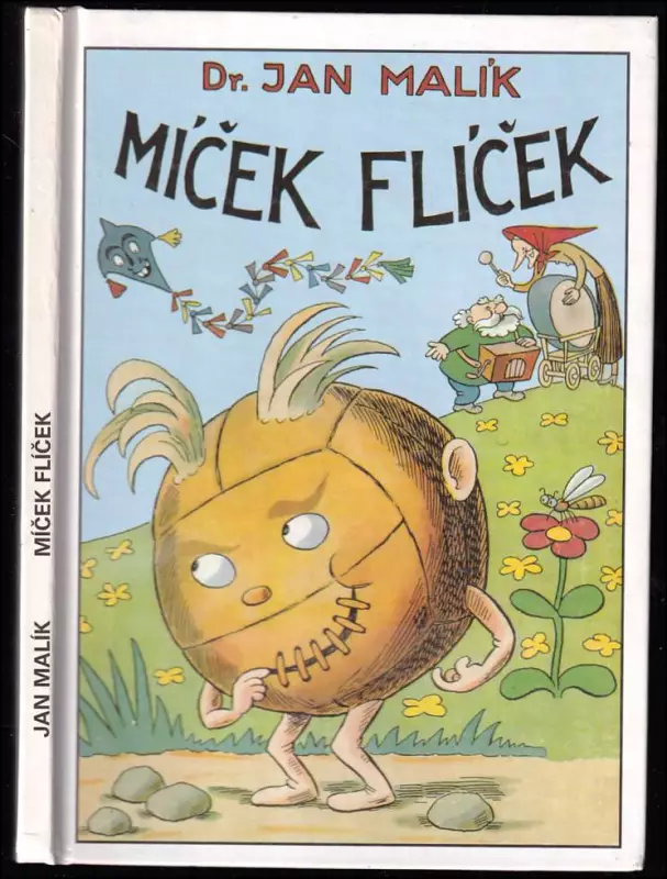 Míček Flíček