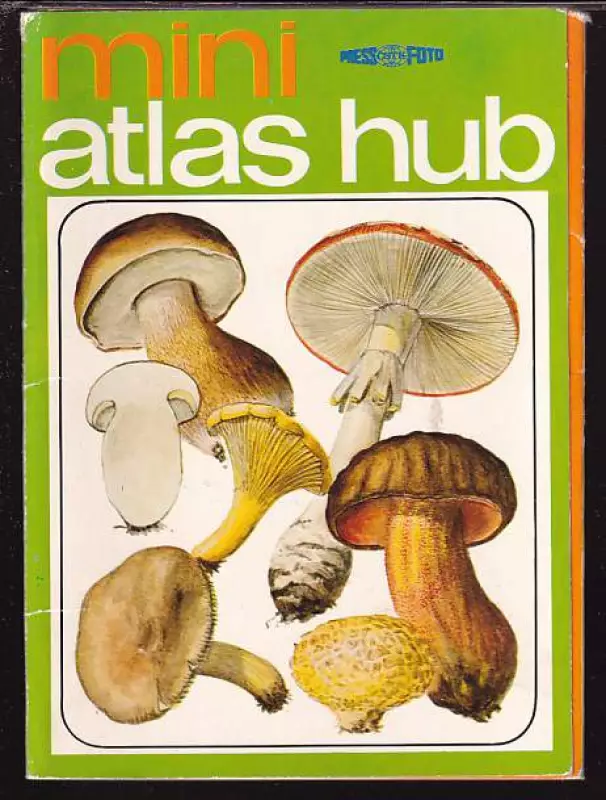 Mini atlas hub