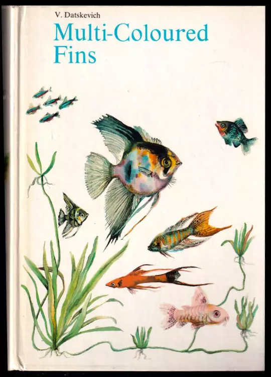 Multi-Coloured Fins