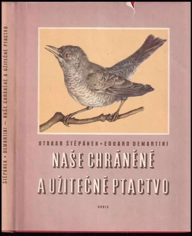 Naše chráněné a užitečné ptactvo