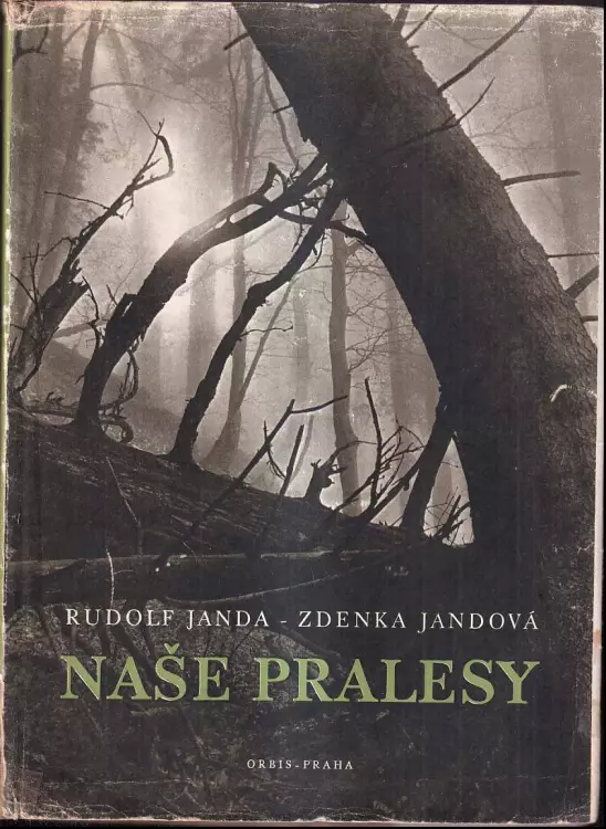 Naše pralesy
