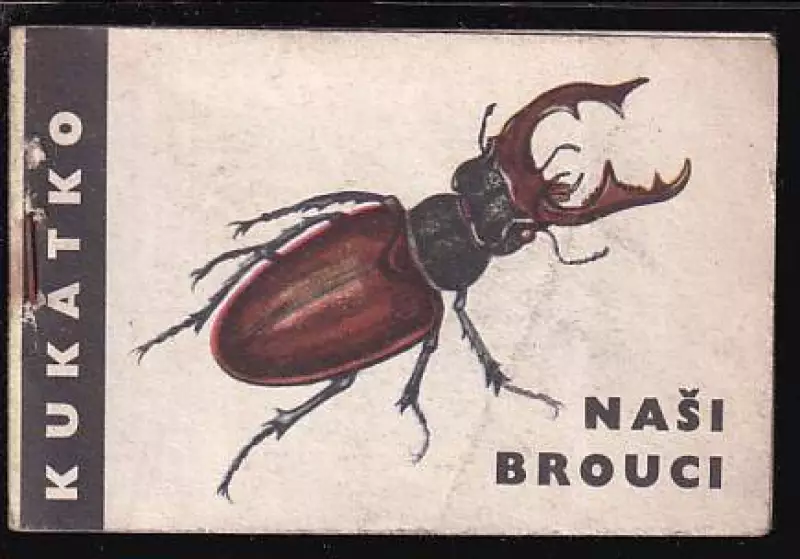 Naši brouci