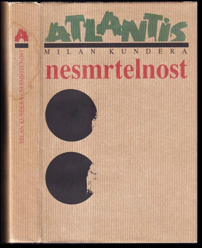 Nesmrtelnost : román