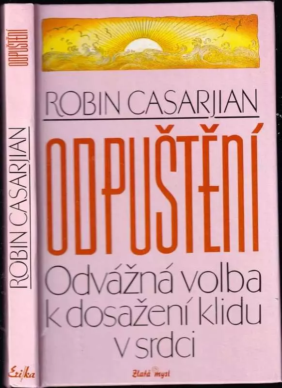 Odpuštění : odvážná volba k dosažení klidu v srdci