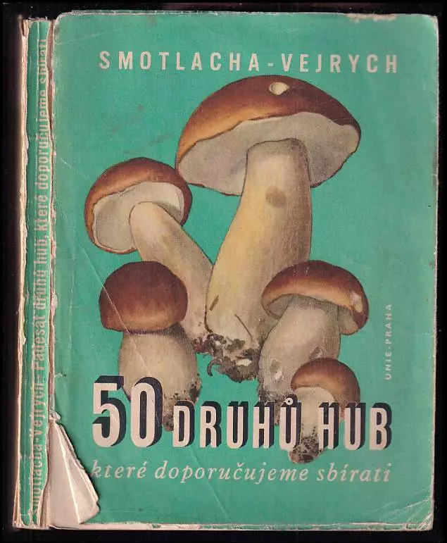 Padesát druhů hub, které doporučujeme sbírati