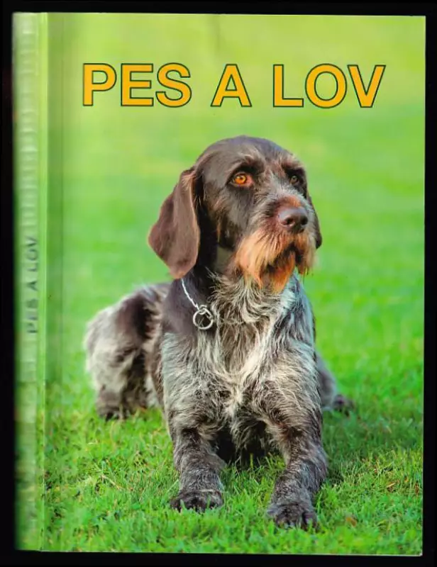 Pes a lov