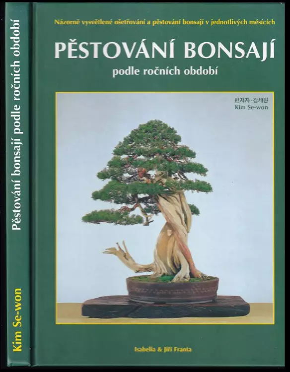 Pěstování bonsají podle ročních období