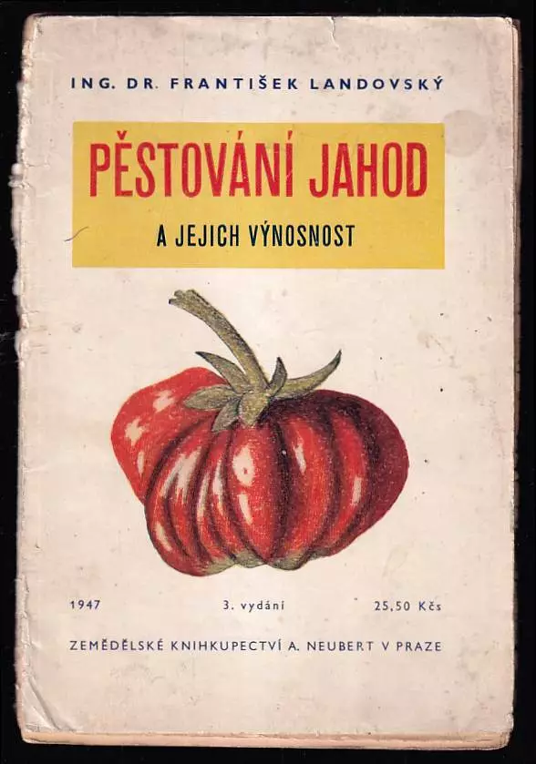 Pěstování jahod a jejich výnosnost