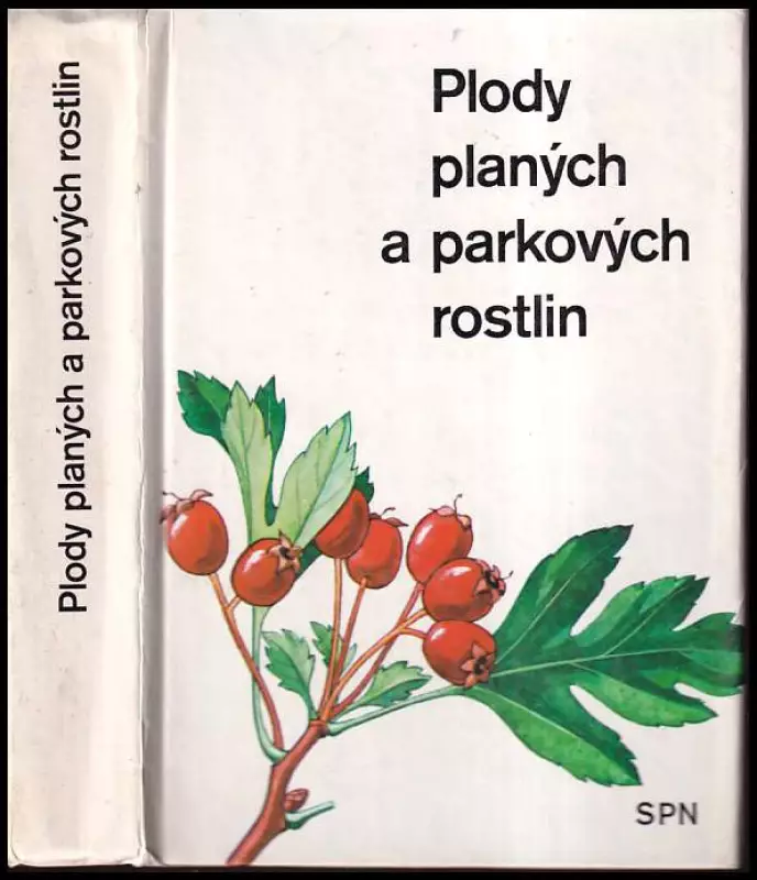 Plody planých a parkových rostlin - kapesní atlas - pomocná kniha pro biologické zájmové kroužky na školách, v Domech pionýrů a mládeže a ve Stanicích