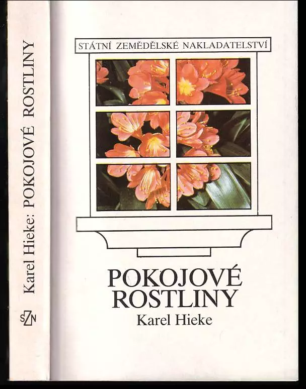 Pokojové rostliny