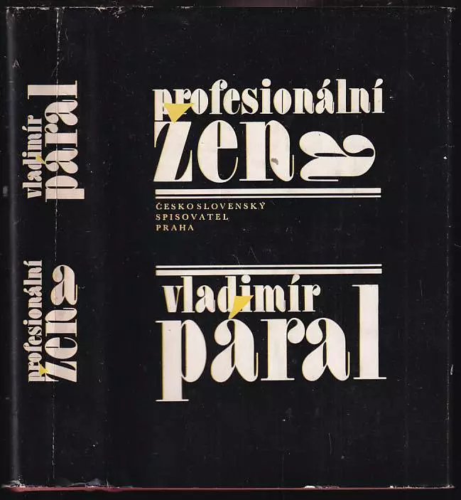 Profesionální žena : román pro každého