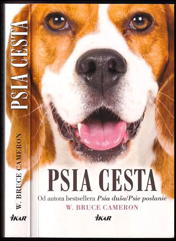 Psia cesta