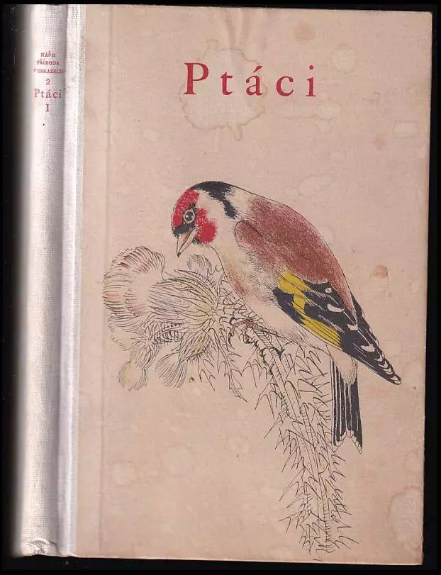 Ptáci Díl 1.