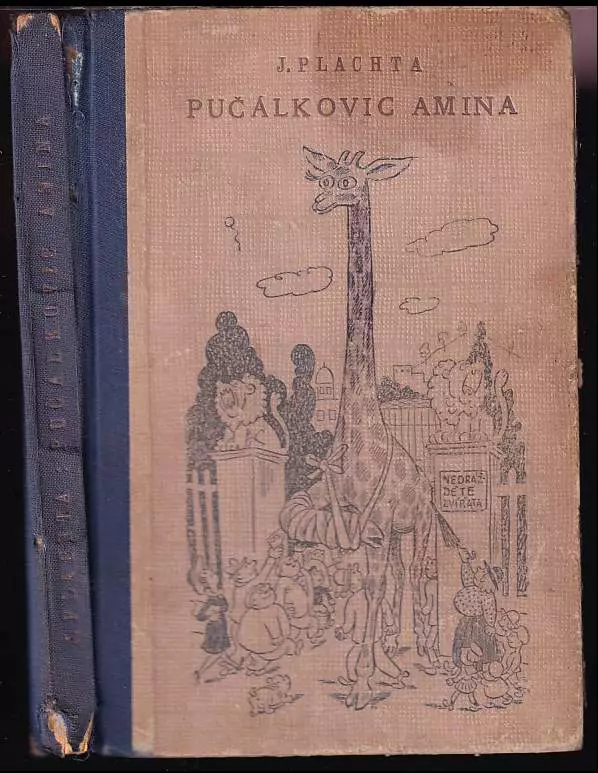 Pučálkovic Amina