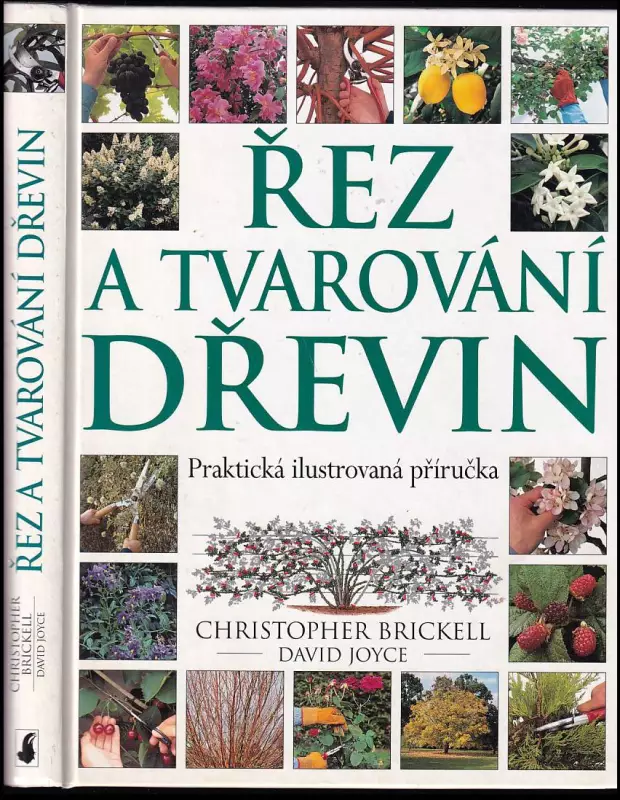 Řez a tvarování dřevin