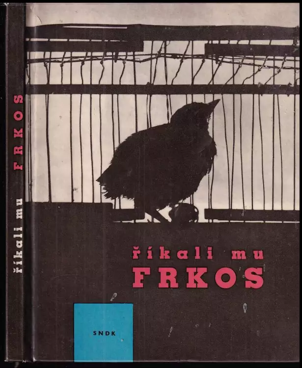 Říkali mu Frkos: pro malé čtenáře