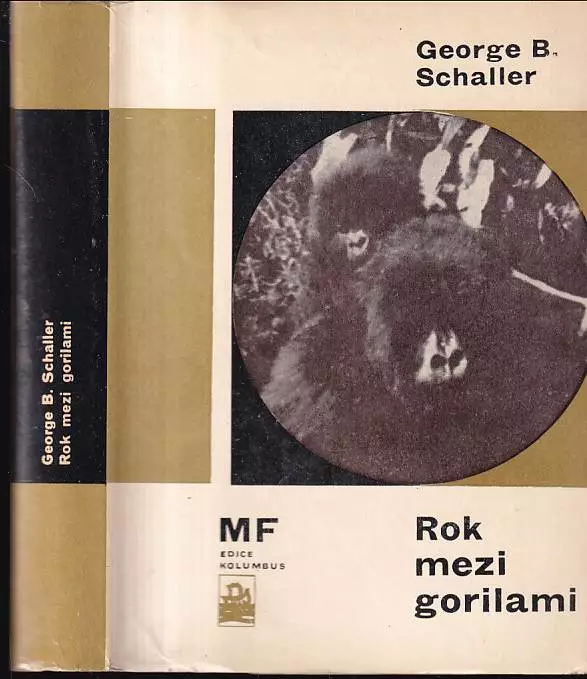 Rok mezi gorilami