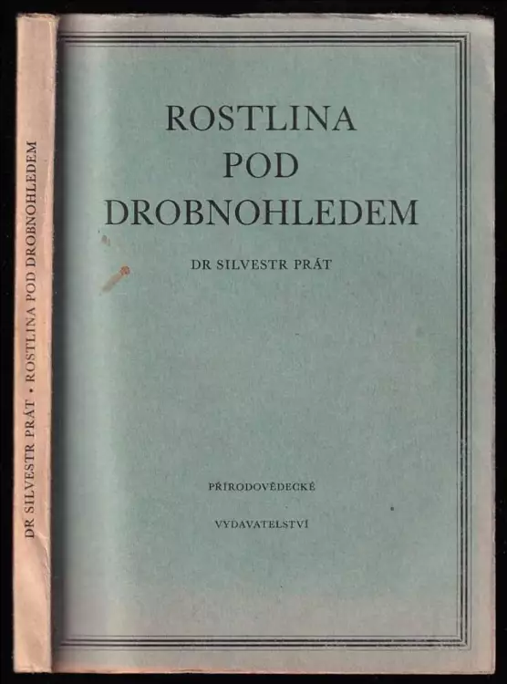Rostlina pod drobnohledem