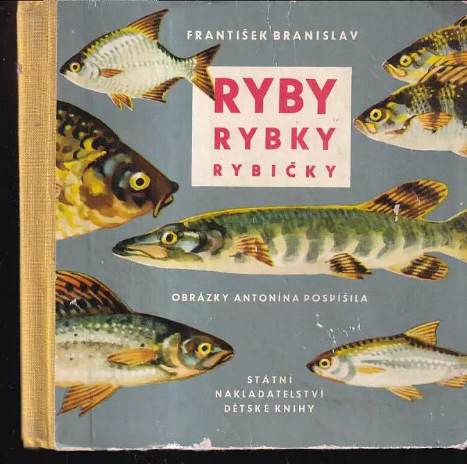 Ryby, rybky, rybičky : pro nejmenší