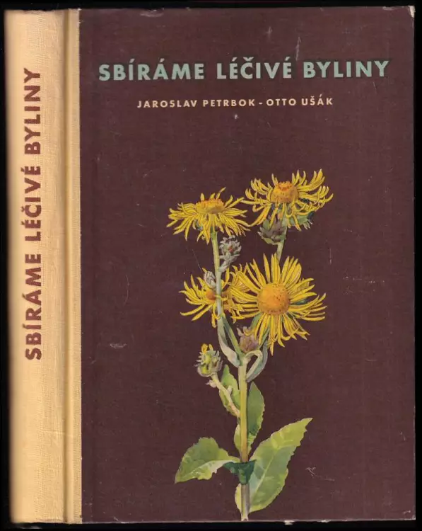 Sbíráme léčivé byliny