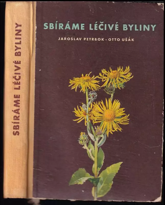 Sbíráme léčivé byliny