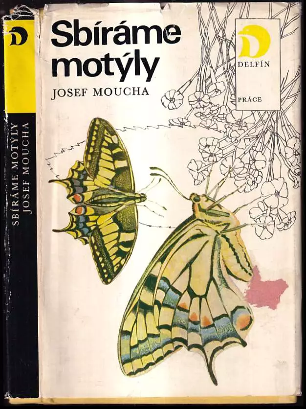 Sbíráme motýly