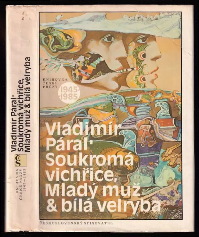 Soukromá vichřice - Mladý muž a bílá velryba